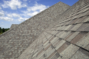 Calgary's Roofing Experts